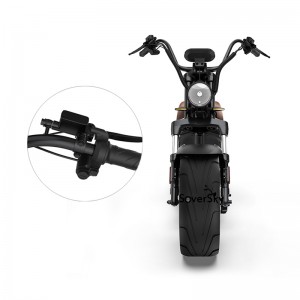 M2 SoverSky Chopper Scooter