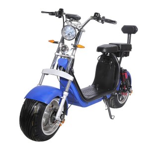 SoverSky Ebike 2 wheel Scooter SL1.0