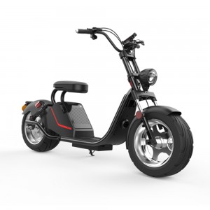 SoverSky Ebike 2 wheel Scooter SL3.0