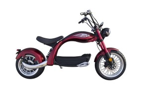 M5 SoverSky Chopper Scooter