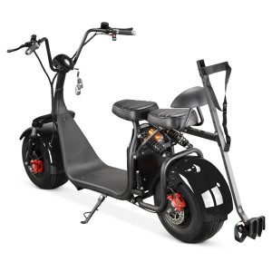 X7 SoverSky Electric Fat Tire Scooter Golf