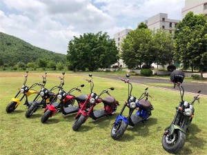 M1 SoverSky Chopper Scooter